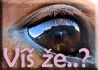 Look_Into_My_Eyes____Please__b