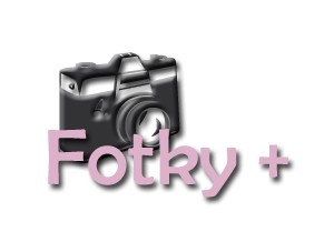 ikonky profil kopie5