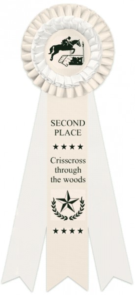 Crisscross though the woods P