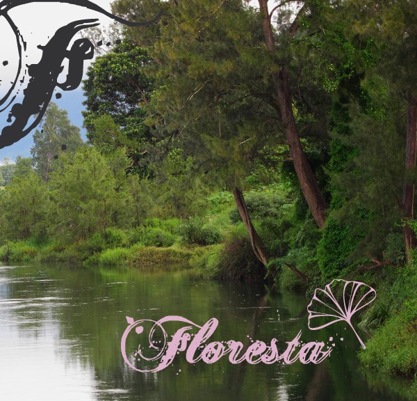 ilustr3