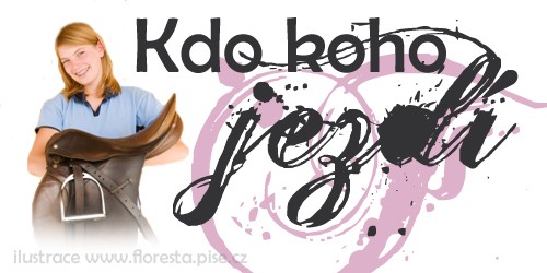 80375938 kopie