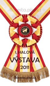 vstava