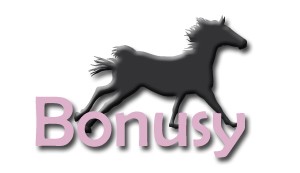 bonusy