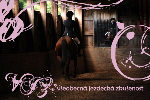 reflection_of_a_dressage_rider
