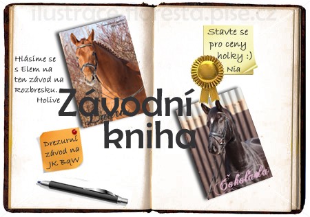 zvodka