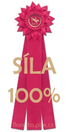 sla