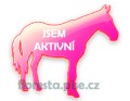 AKTIVN