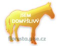 DOM݊LIV