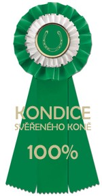 KONDICE