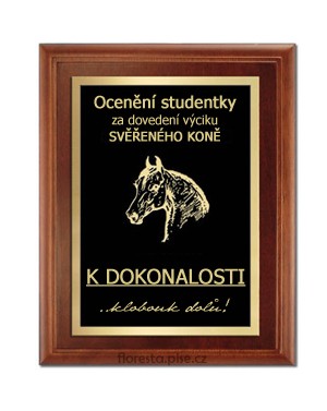 oce