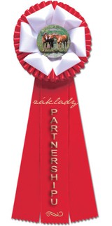 ZÁKLADY PARTNERSHIPU
