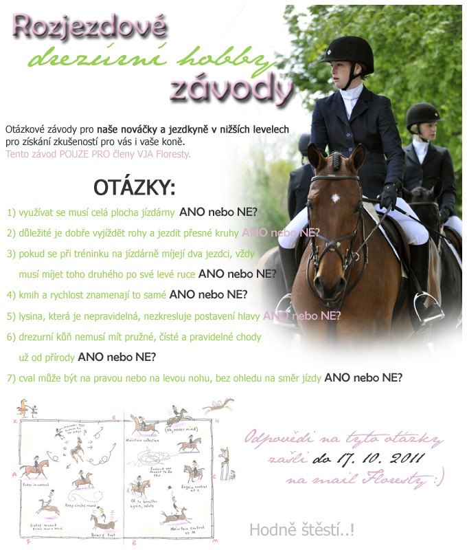 hobby drezura