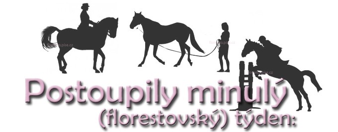 osnovy
