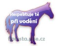 vodění
