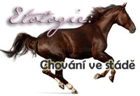etol kopie