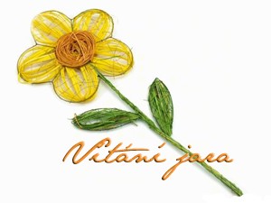 vtn