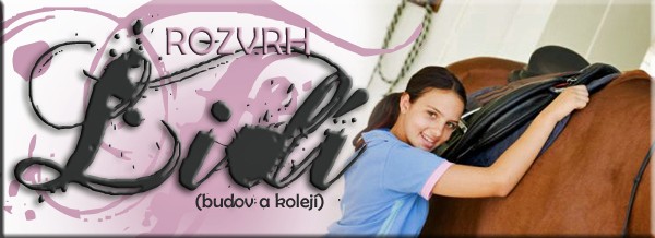 lidi