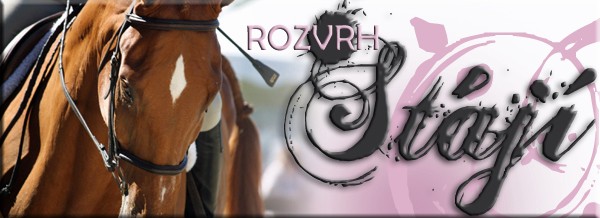 nov rozvrhy stj
