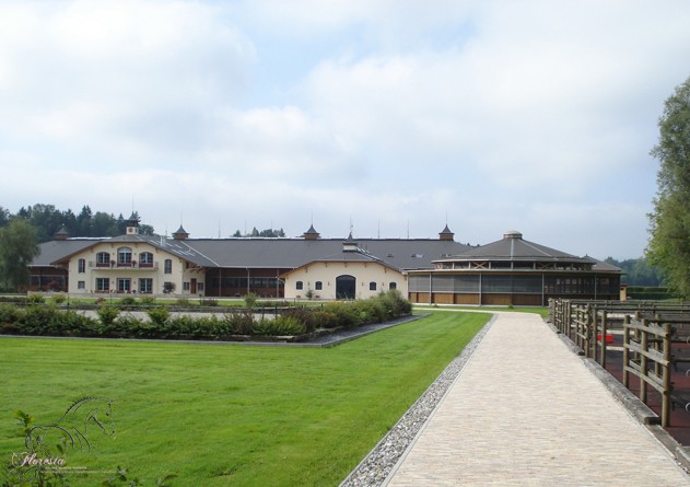 venek1