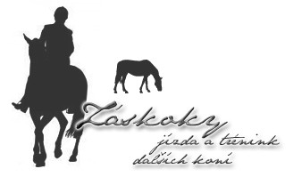 zskoky