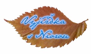 vyjda