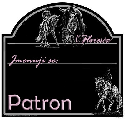 patron
