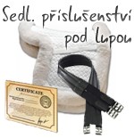 sedlpr